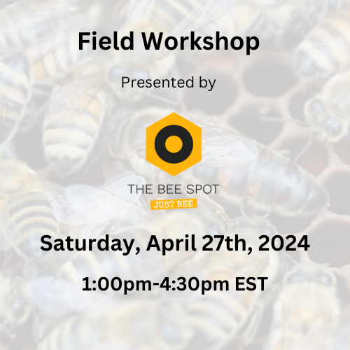 Workshop 2: inspections, splits and intro to queen marking - April 27th