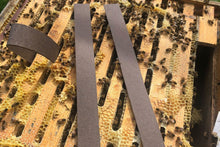 Varroxsan